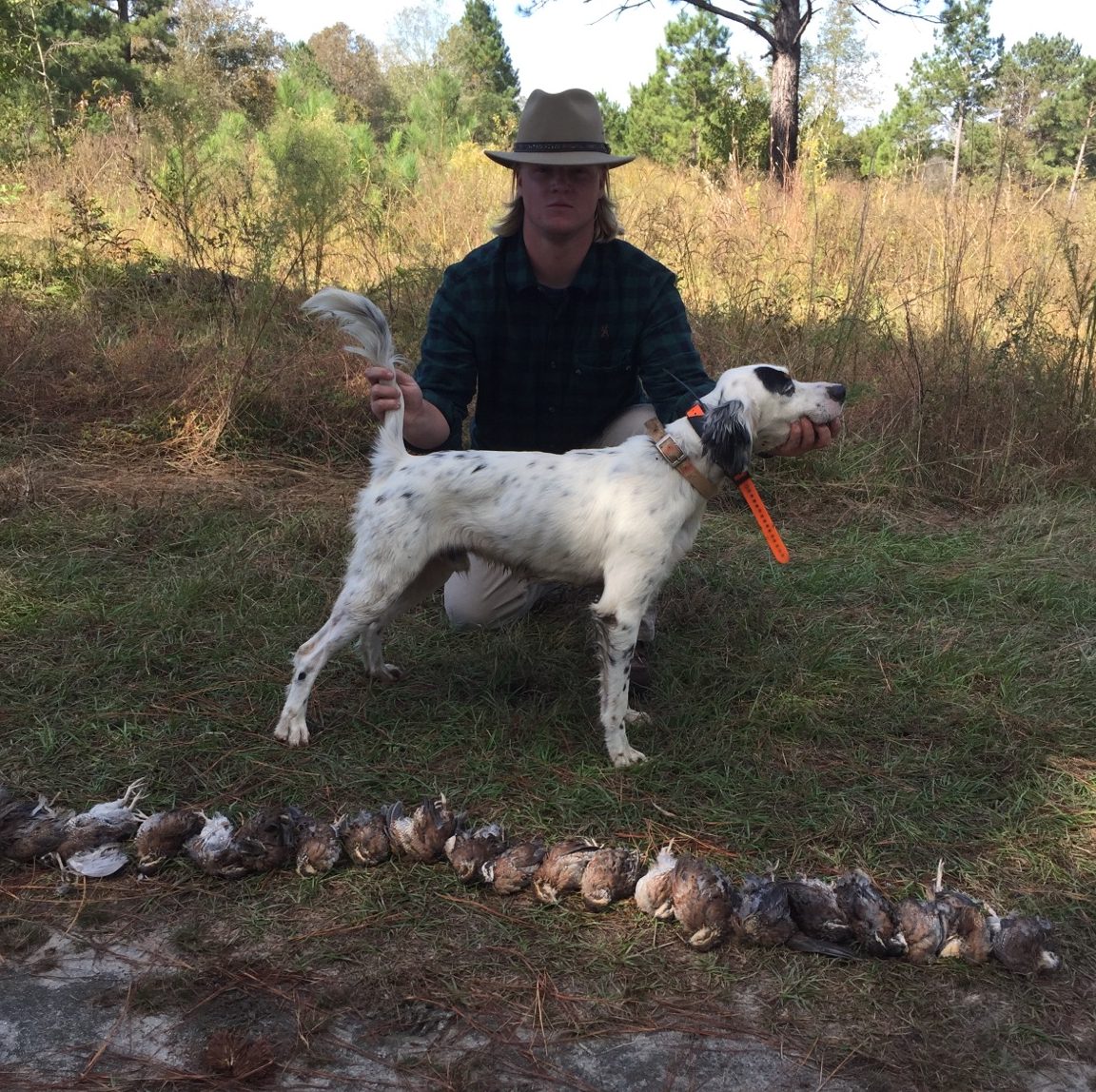 Quail Hunt Info Quality Dove, Duck, and Quail Hunting in South Carolina